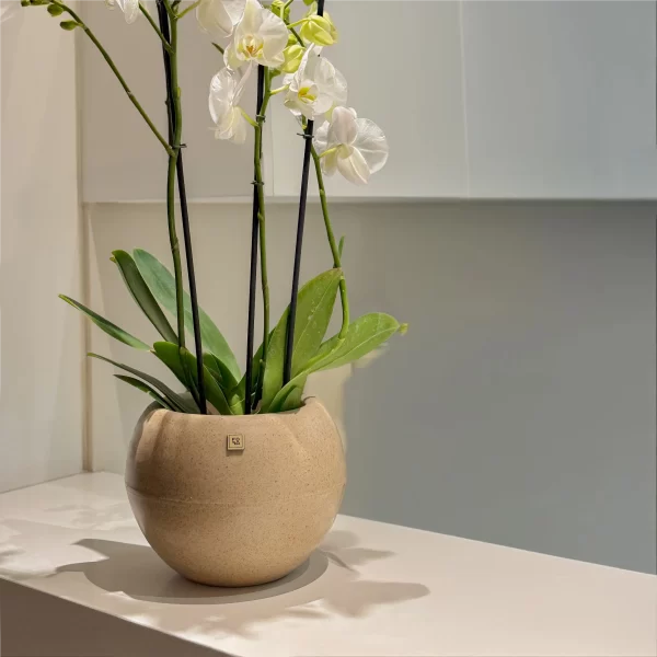 Matera Balaio Orbit / 201008 </br><div class='opcion'>Dimensiones: 17 x 17,5 CM Altura</div>